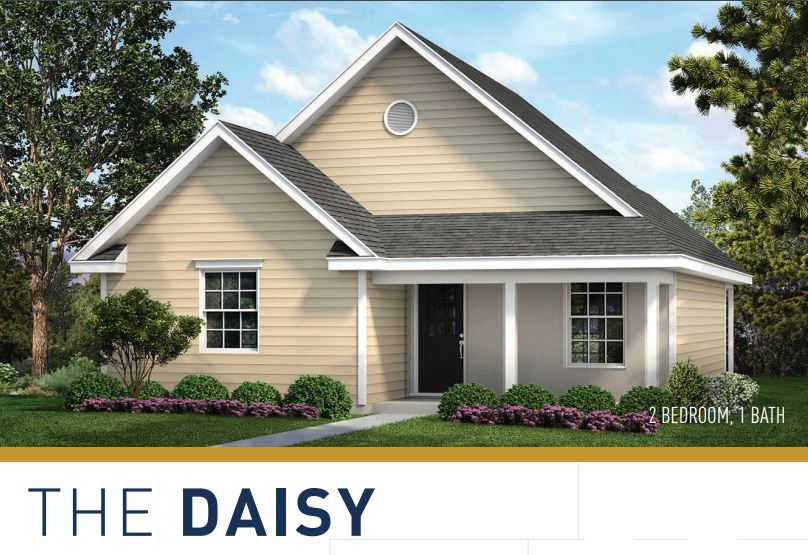 The Daisy Solution 1 reconstruction