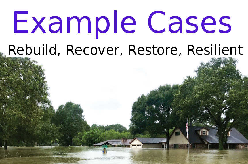 Example Cases