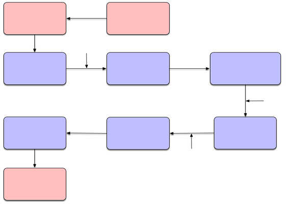 Action Plan Flowchart